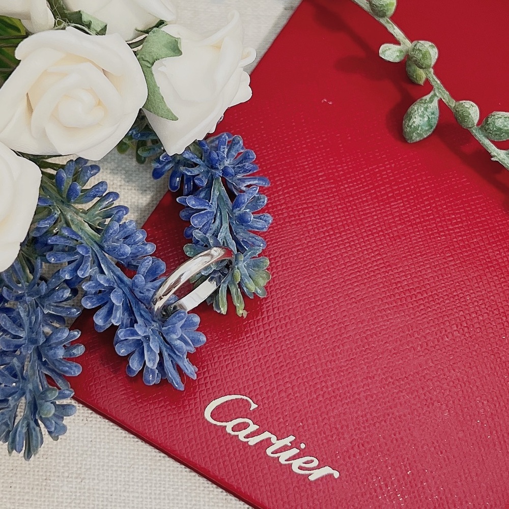 Cartier 1895 Wedding Band with a Diamond - Picture 3 of 8